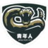 乌兰察布队logo